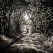 The Road Less Travelled image