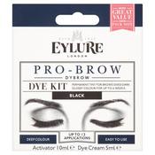 Eylure Dybrow Permanent Tint For Brows - Black - Glen Pharmacy image