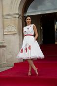 Vintage Inspired Poppy Dress image