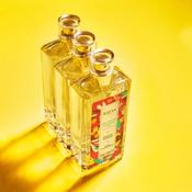 Baija Delirium Foral Home Fragrance 100ml image