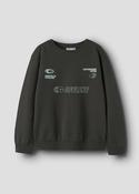 Sweatshirt image