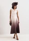 Phase Eight Cheryl Cowl Neck Ombre Maxi Dress Ivory image