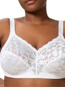 Delicate Doreen Bra in White image