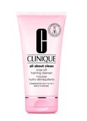 All About Clean Rinse-Off Foaming Cleanser
