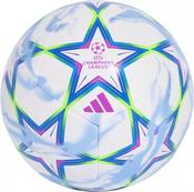 UFEA Champions League Training Football image