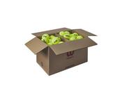 Wilson Triniti Club tennis balls (Box of 72) image