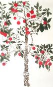 Cliona Doyle, Apple Tree