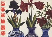 Iris, Amaryllis &amp;amp; lilies