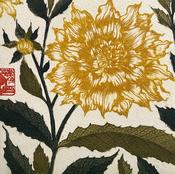 Dahlia