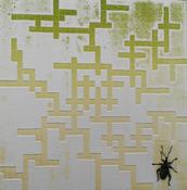 Paul Fitters, 11 accross Type of beetle