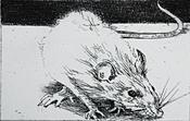 Charles Cullen, Rat