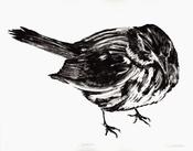 Renate Debrun, Sparrow