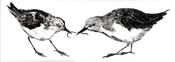 Renate Debrun, Squabble