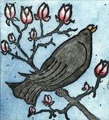 Blackbird and Magnolia