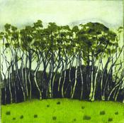 Carmel Benson, Birches image