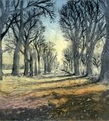 Aidan Flanagan, Kilmacurragh Oaks image