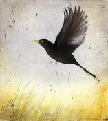 Clare Henderson, Éirigh leat a lon dubh, suas, suas san aer image
