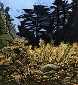 Pamela Leonard, Lost in a forest image