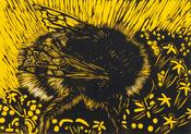 Mary Grey, A greedy bee