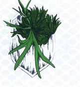 Eilis Murphy, Platycerium Avenged image