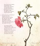 Mary Plunkett, The last rose of summer image