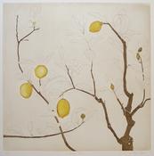 Cliona Doyle, Lemon Tree