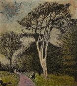 Daniel Lipstein, Tall Pine at Garden's Depth