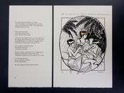 Sappho’s Daughter, Theo Dorgan &amp; Liam O Broin image