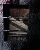 Niamh McGuinne, Surreal Shadow