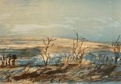 Michael Timmins, Frozen Lake image