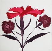 Grainne Cuffe, Dianthus III