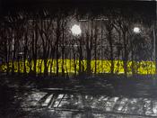 Michael Timmins, Westwood image