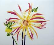 Nicola Lynch Morrin, To Give Light image