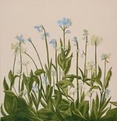 Cliona Doyle, Bluebells and Ramsons