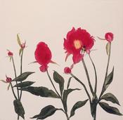 Cliona Doyle, Paeony with bee