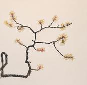 Cliona Doyle, Witch Hazel
