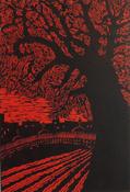 Mary Grey, Red Sky at Night image