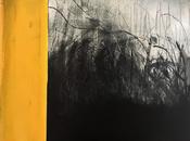 Hilary Kinahan, Bog Series #3