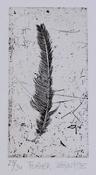 Feather