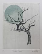 Winter Moon