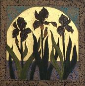 Black Iris