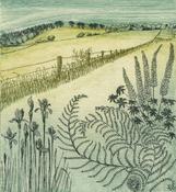 Kilmacurragh Vista, Niamh Mac Gowan