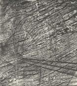 Palmhouse II, Joe Ryan