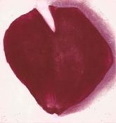 Rose Petal