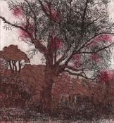 Untitled, Leila Pedersen