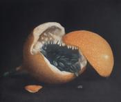 Granadilla, Robert Russell