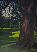Meeting with a remarkable tree, Louise Leonard
