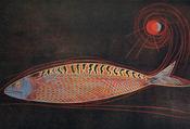 Mackeral