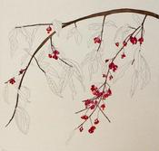Spindle