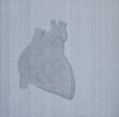 interior heart - earthier intro